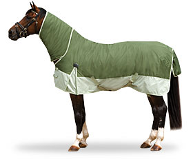 Horse Blanket