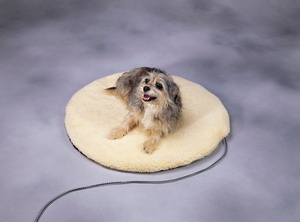 ȵ/pet heat mat/ȵ/ȴͼ